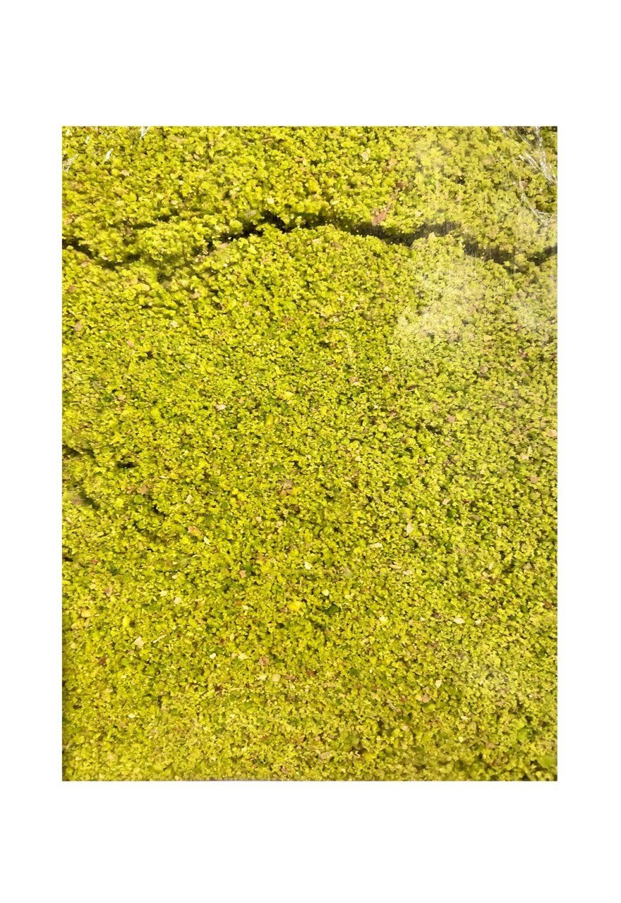 Toz Antep Fıstık, Toz Yeşil Fıstık 160 Gr.