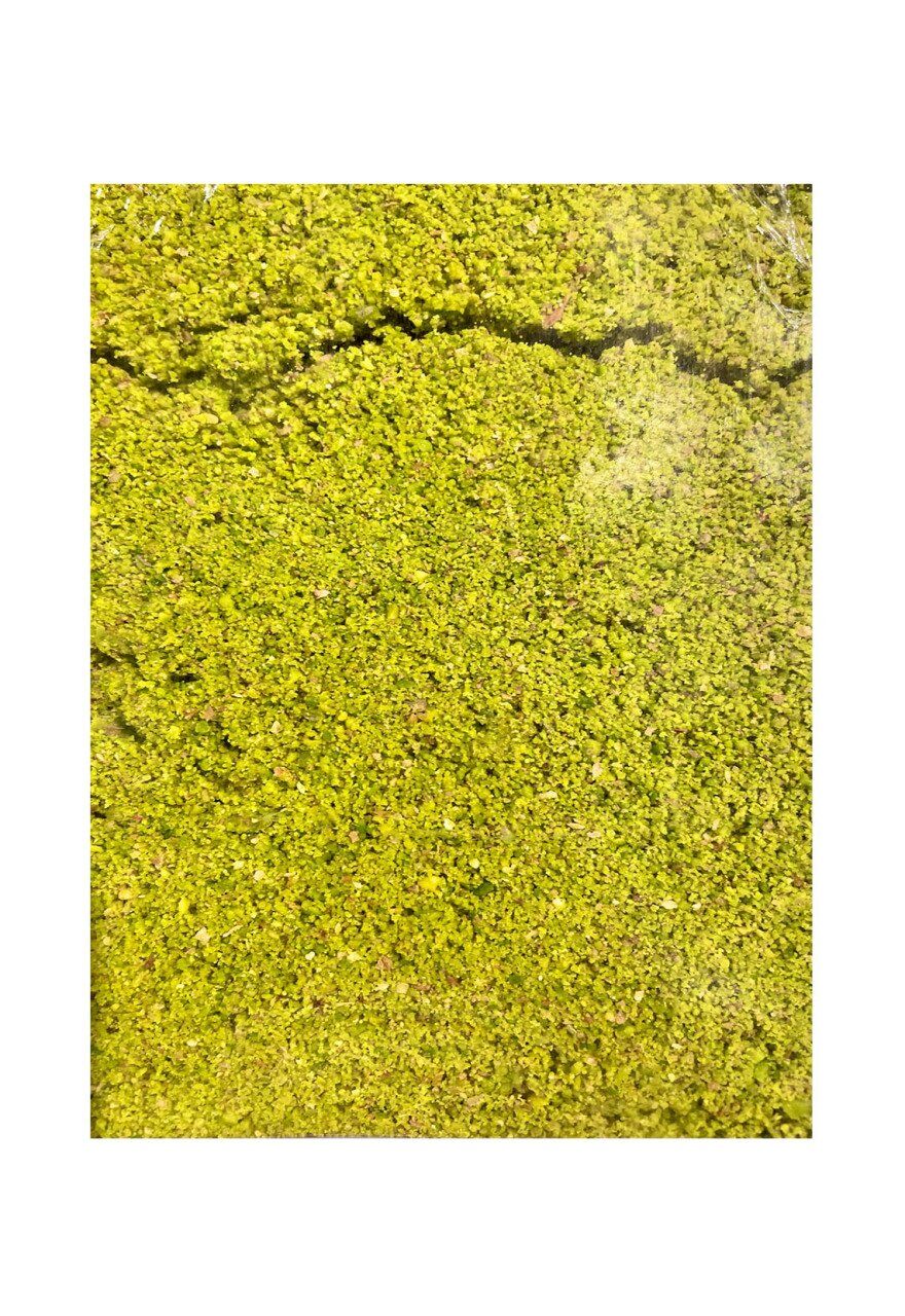 Toz Antep Fıstık, Toz Yeşil Fıstık 160 Gr.