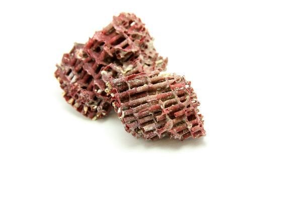 Kardeş Kanı 50 Gr.