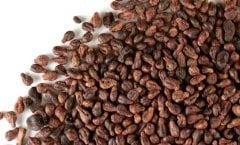 Üzüm Çekirdeği 80 Gr.