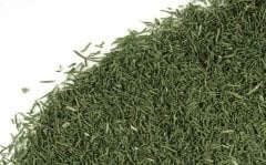 Dereotu Kurusu 70 Gr.