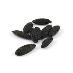 Tonka Fasulyesi 50 Gr.